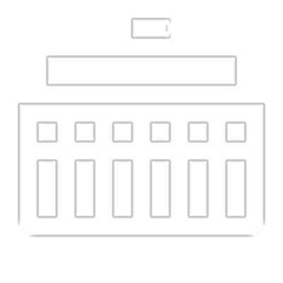 government