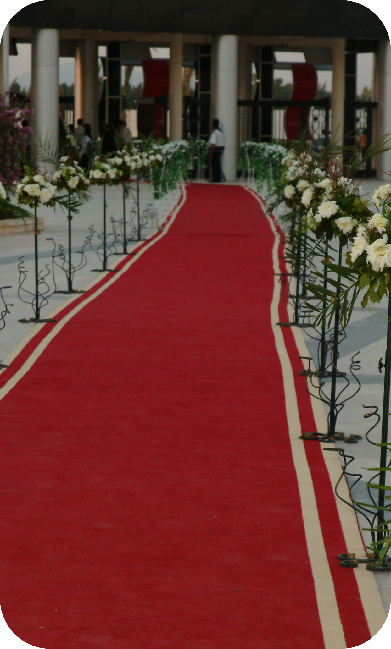gallery 8